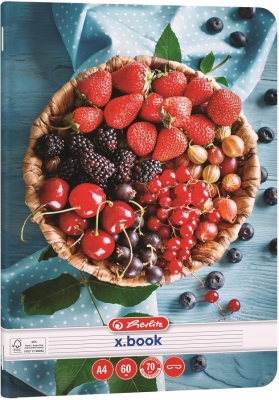 Caiet Herlitz A4, 60 file, dictando, motiv Healthy Snack, diverse modele